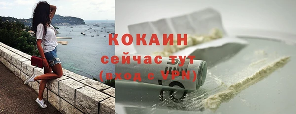ГАЛЛЮЦИНОГЕННЫЕ ГРИБЫ Инта