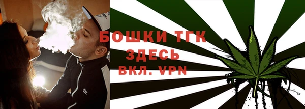 шишки Алексеевка