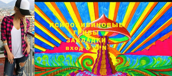 гидропоника Алзамай