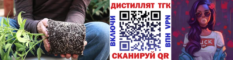 дарк нет телеграм  Павлово  Дистиллят ТГК вейп 