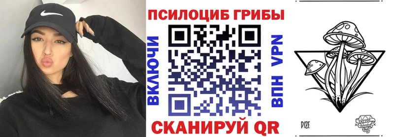 Псилоцибиновые грибы мицелий  блэк спрут   Павлово  shop клад  где продают наркотики 